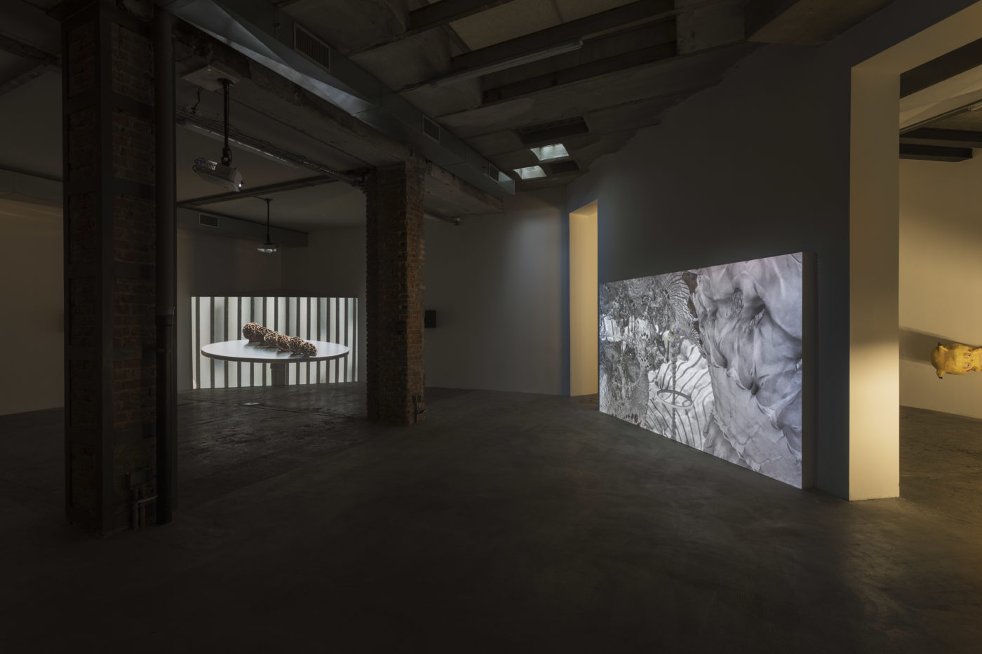 Andrew Norman Wilson, “Lavender Town Syndrome” exhibition view, Ordet, Milan, 2019/2020