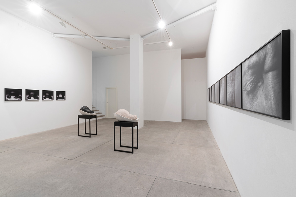 Anna Maria Maiolino Aqui e Agora, 2019 Installation view at Galleria Raffaella Cortese, Milano