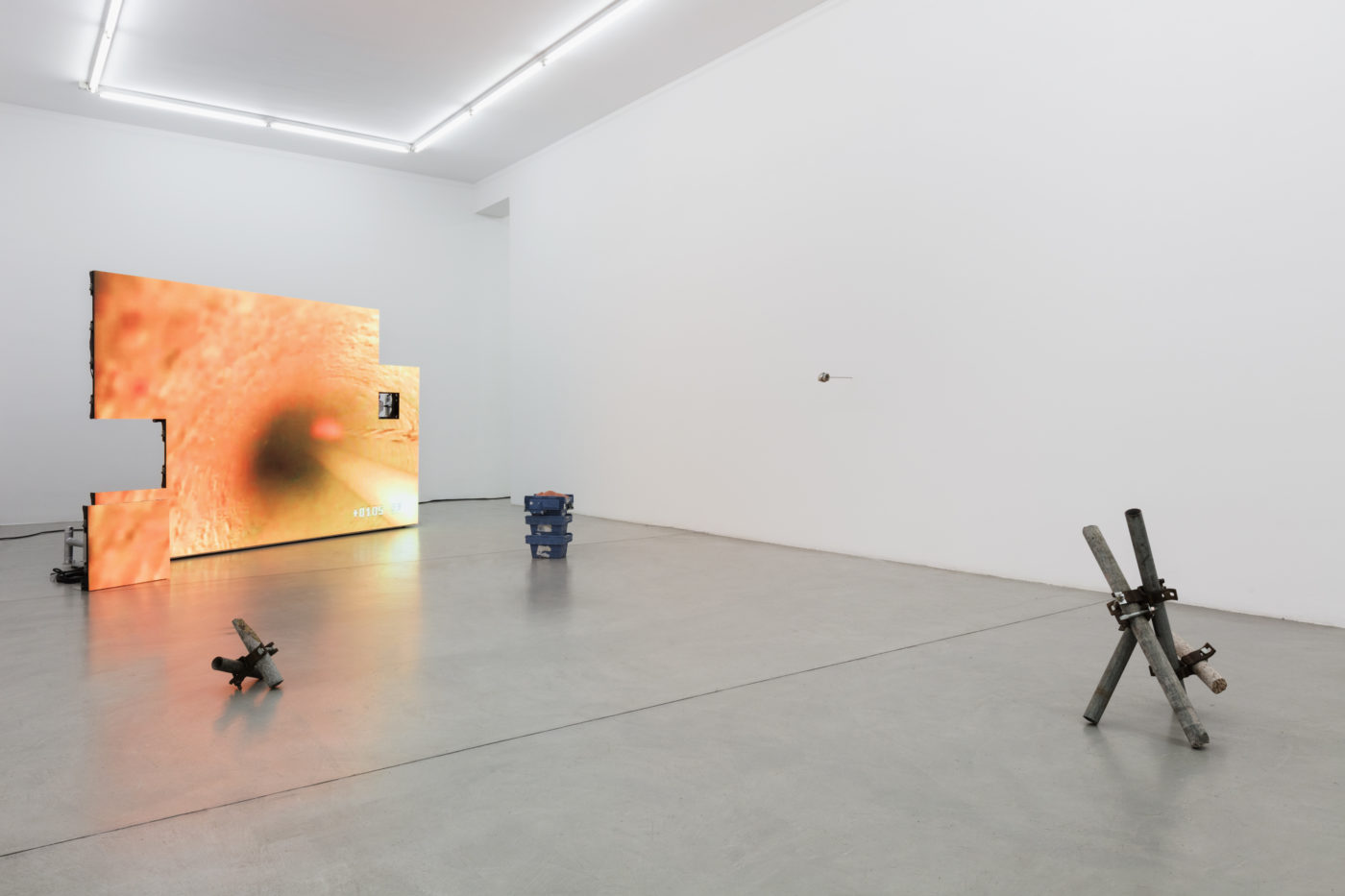 Daniel De Paula. Installation view at Francesca Minini, Milan. ph. Andrea Rossetti