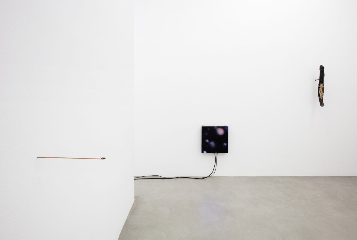 Daniel De Paula. Installation view at Francesca Minini, Milan. ph. Andrea Rossetti