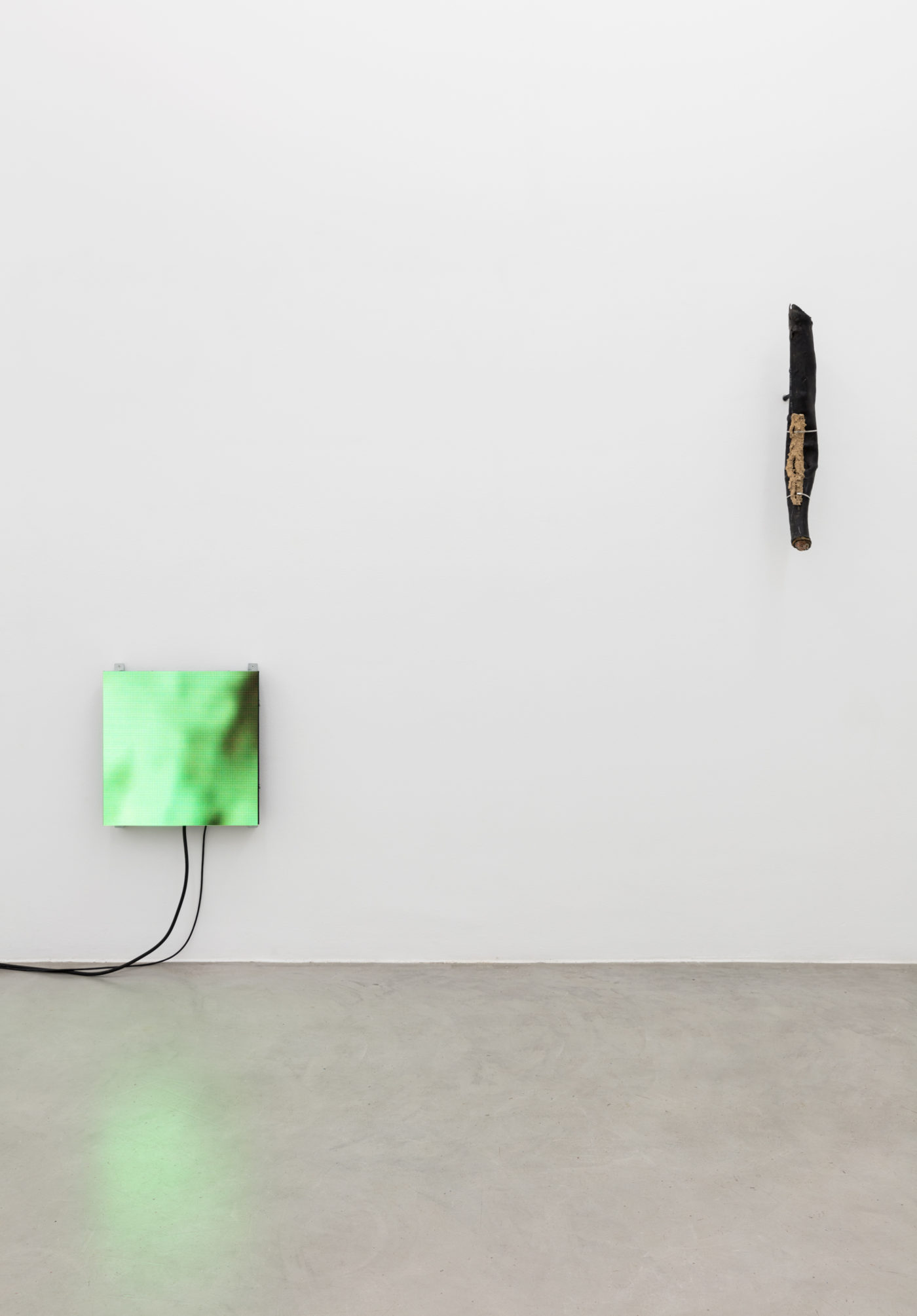 Daniel De Paula. Installation view at Francesca Minini, Milan. ph. Andrea Rossetti