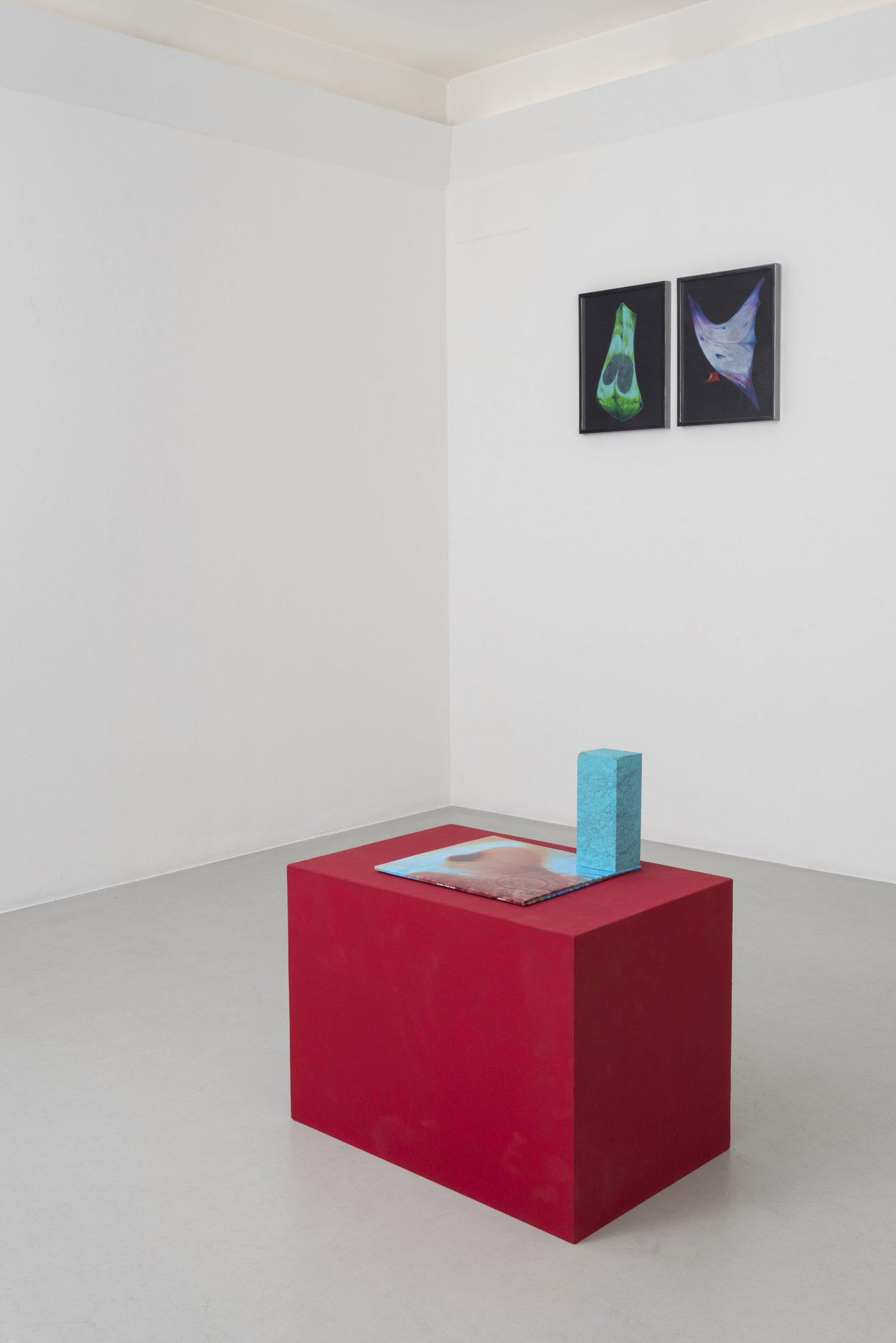 Giovanni Kronenberg, Renata Fabbri Arte Contemporanea, Milano. Foto, Cosimo Filippini 2020